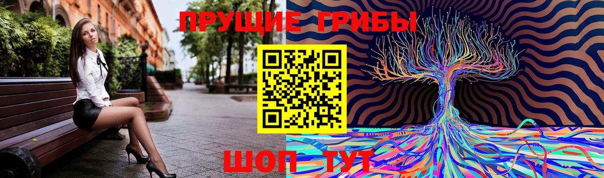 Псилоцибиновые грибы ЛСД Ачинск