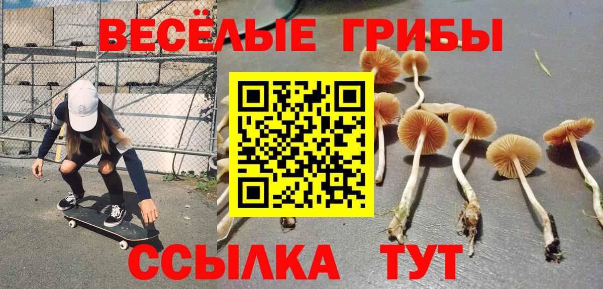 Ачинск  Галлюциногенные грибы Psilocybine cubensis  цены   Вход с VPN  Галлюциногенные грибы прущие грибы 